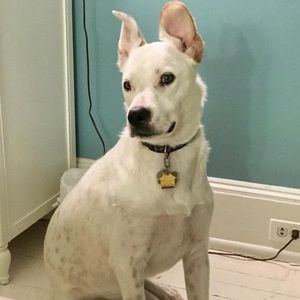 Meet your Posher, Mike